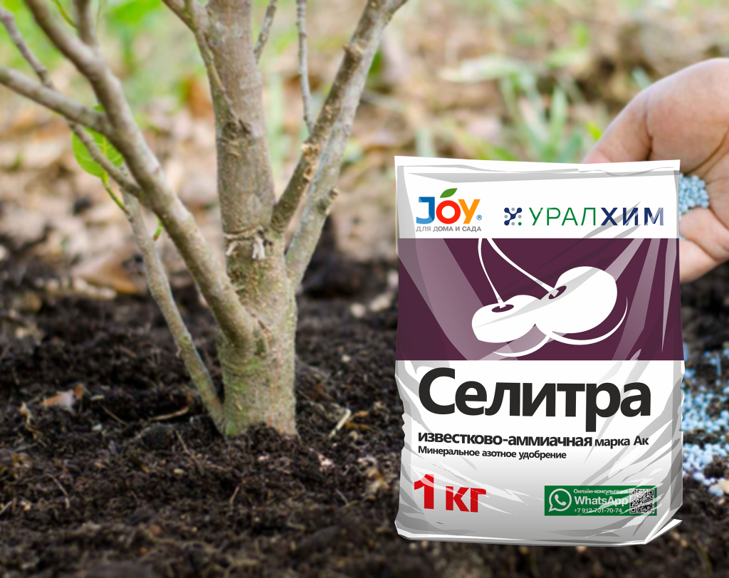 Удобрения для деревьев весной. Удобрение для деревьев весной. подкормка деревьев весной. весенний уход. весенний уход за садом.