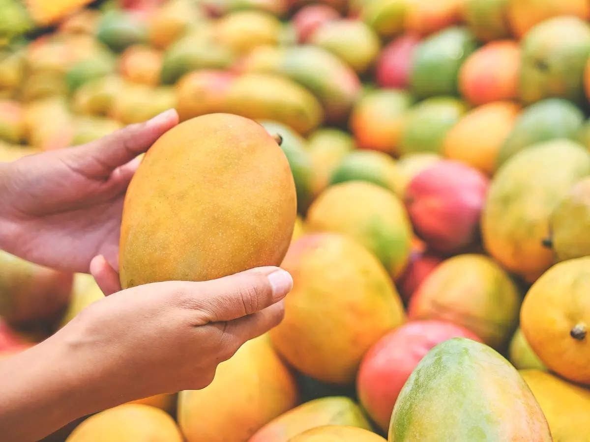Манго польза фрукта. Манго. Манго в руке. Пхукет манго. Пищевая ценность манго.
