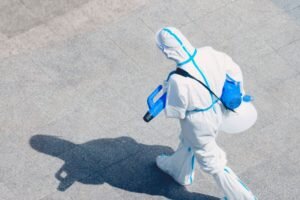    Фото: unsplash.com. Маргарита Пименова