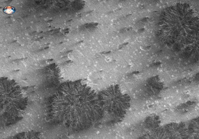 Писатель Артур Кларк собрал людей в своем доме на Шри-Ланке и показал им снимки со своими комментариями. Кларк сказал: «Я говорю совершенно серьезно, когда смотрю на эти новые снимки Марса. Что-то на самом деле движется и меняется в зависимости от времени года, что предполагает как минимум растительность»