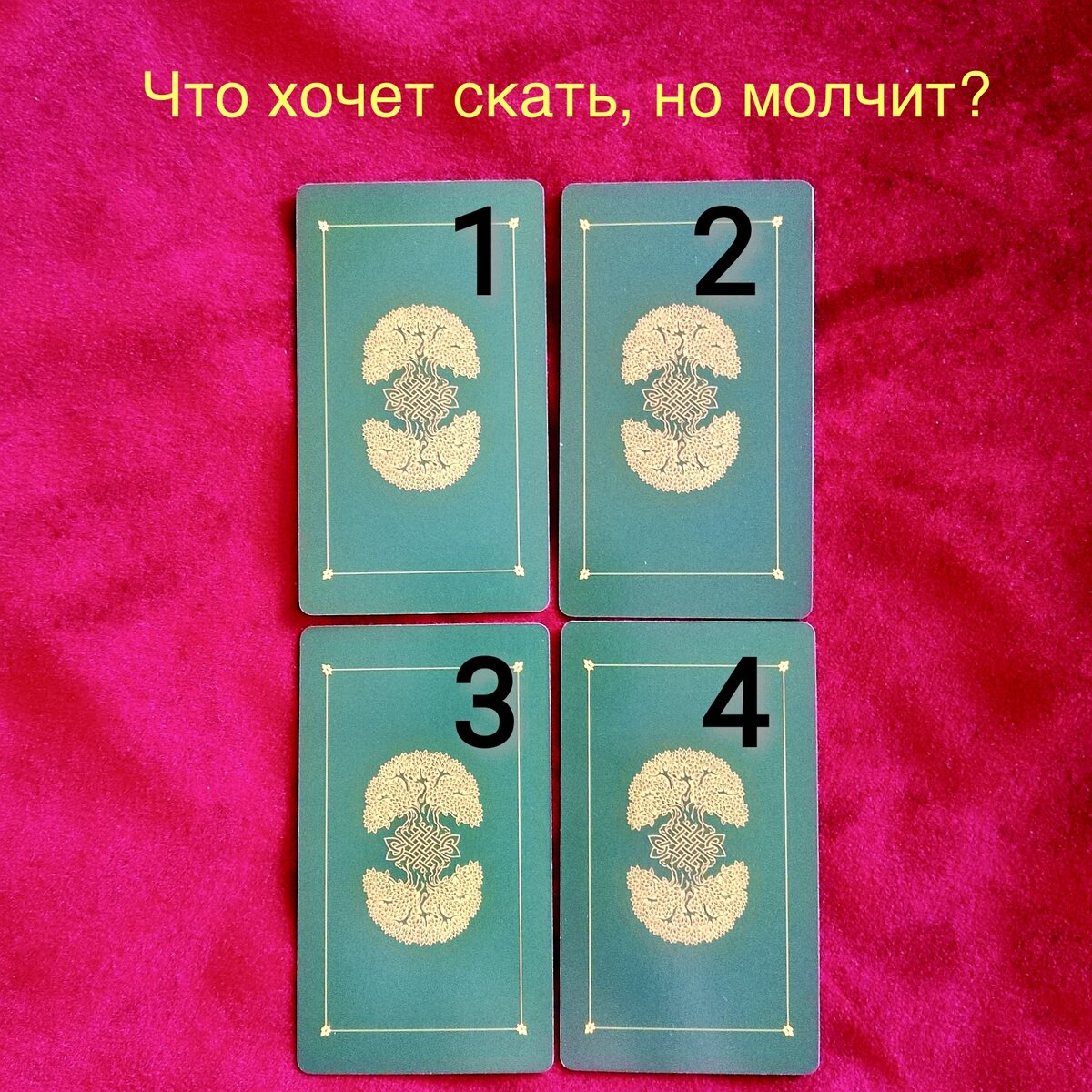 Выберите одну карту 