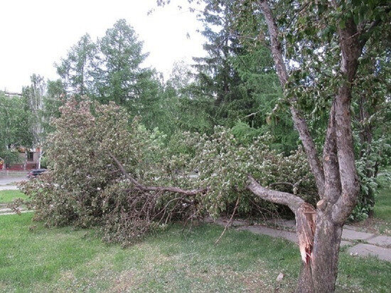     Фото: "МК-Урал"