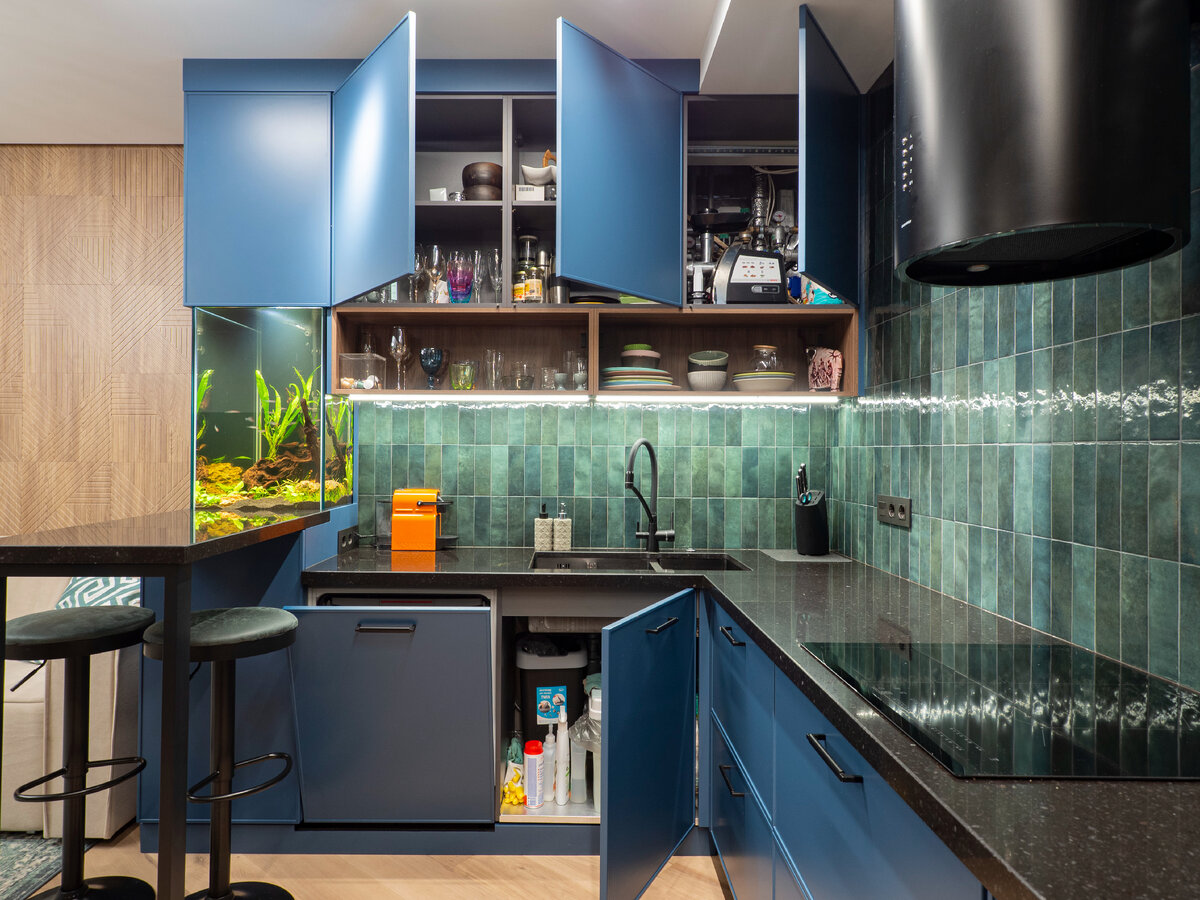 Дизайн кухни 5.5 кв метров с аквариумом