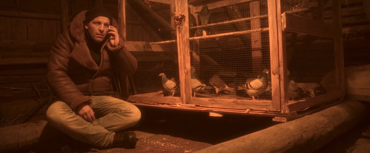 Иногда Николай приходит прилечь на чердаке рядом с голубятней. 
Кадр из к/ф «Снег, сестра и росомаха».