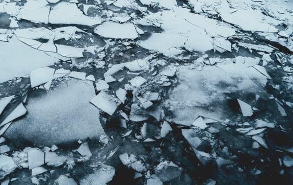    Фото: canva.com