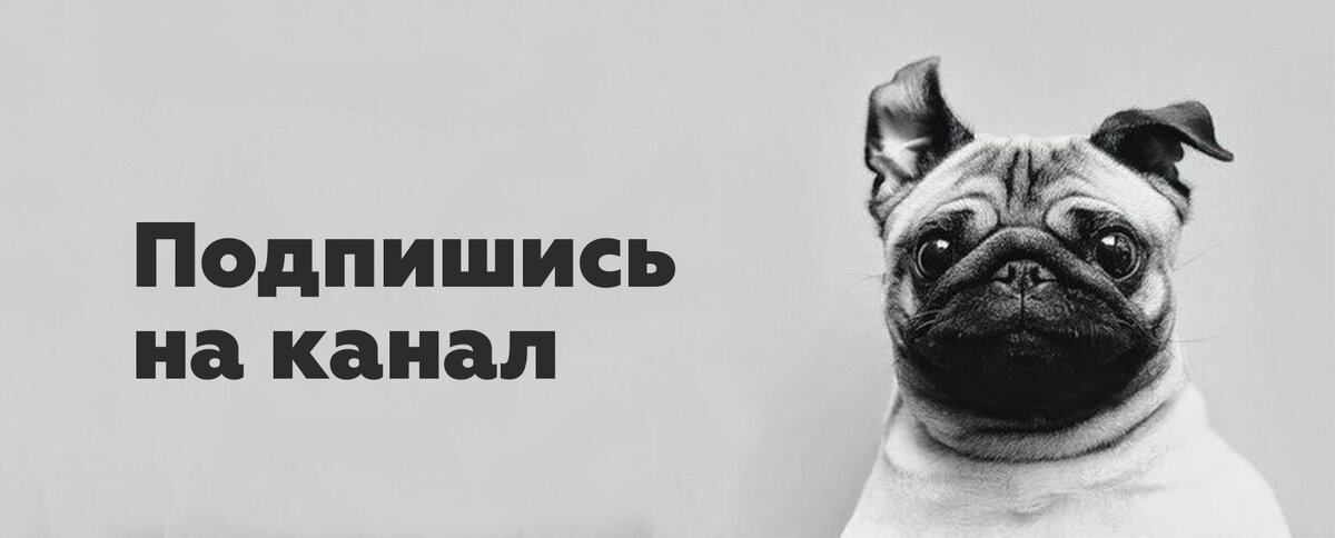 Подпишись!!