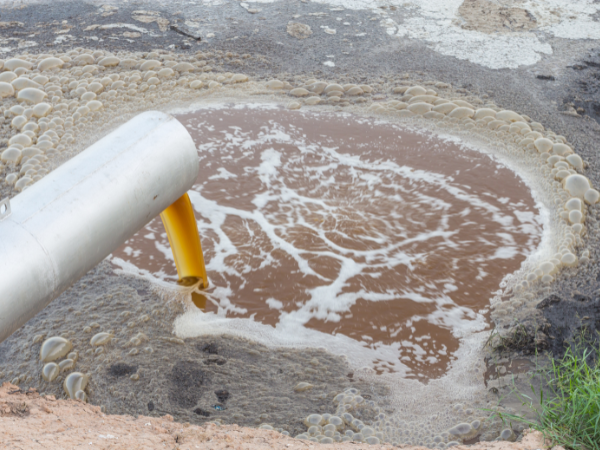 Фото с лицензией ССО