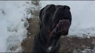 Ну и рожа у тебя Шарапов🤣