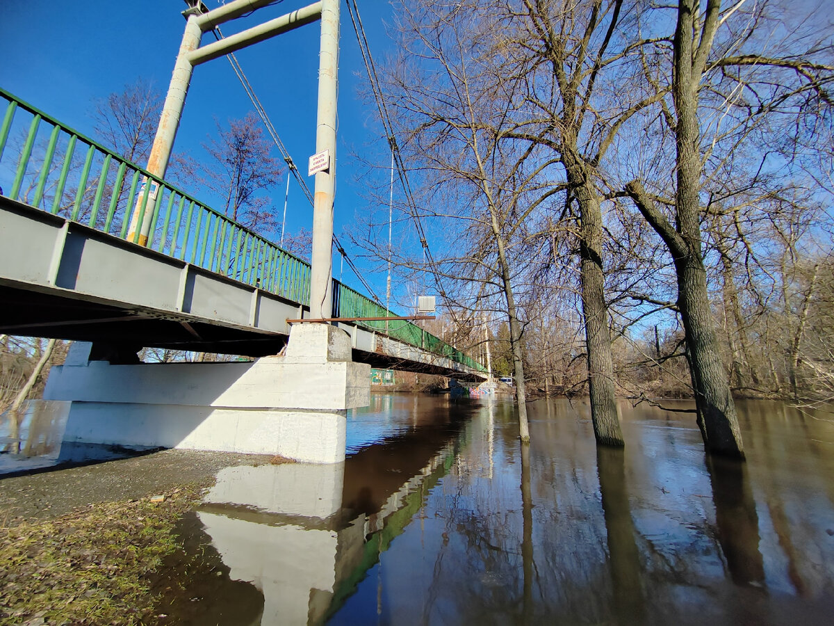 река дон уровень воды сегодня фото