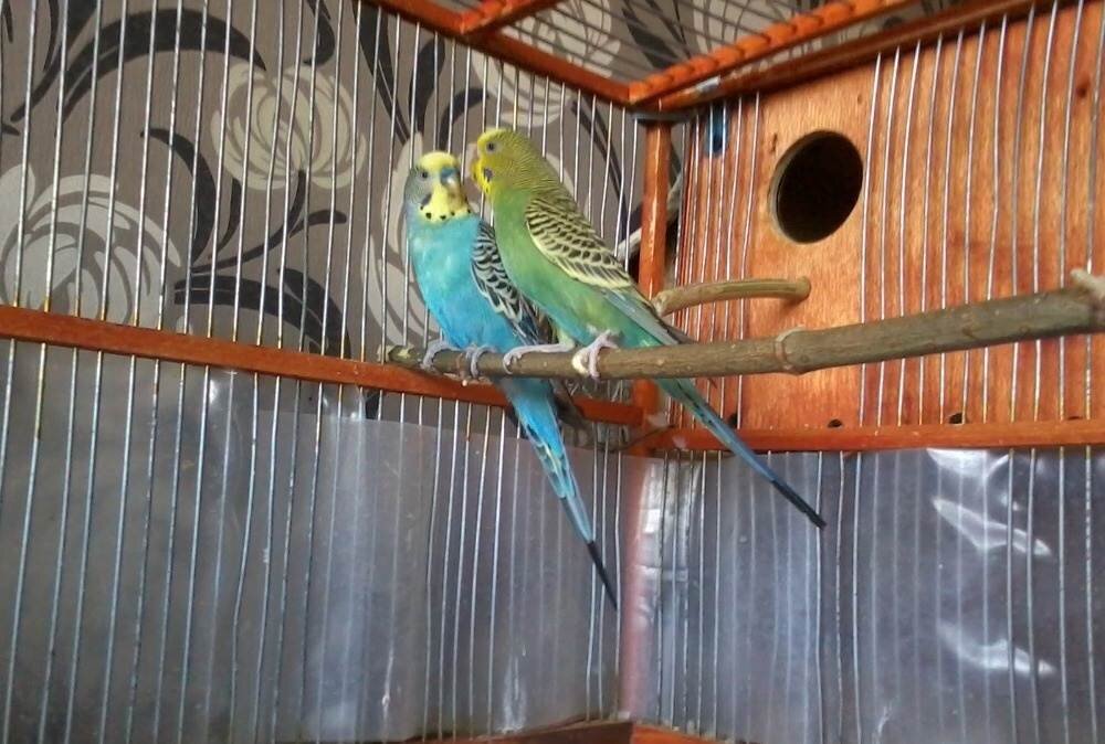 Фото из открытых источников.