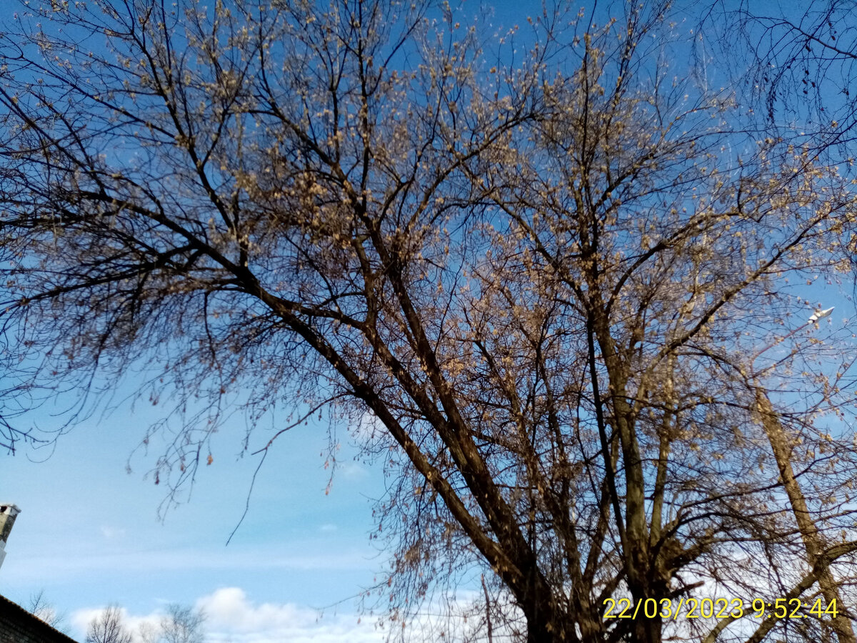 Ясный тёплый день