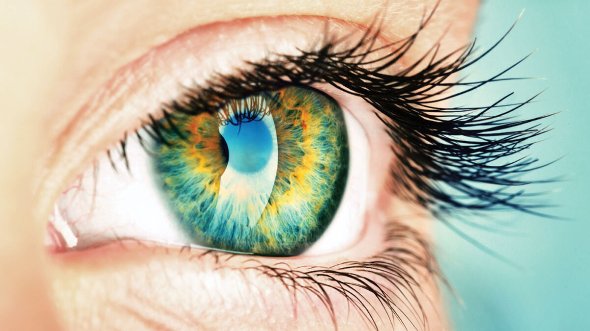   Оказывается какими свойствами обладают глаза..  Глаза - удивительный инструмент нашего тела. Они не только позволяют нам видеть, но обладают множеством других занимательных свойств и функций. Цвет глаз может меняться. 
 Радужная оболочка глаза отнюдь не предполагает наличия зеленого и синего пигментов, и, в зависимости от освещения, может приобретать различные оттенки. Довольно примечательное явление, при котором цвет радужной оболочки правого и левого глаза заметно различается.
  Все голубоглазые люди – дальние родственники. Первый человек с голубыми глазами родился 6-10 тысяч лет назад. В те времена, все были кареглазыми.
 Сетчатка глаза состоит из 107 миллионов светочувствительных ячеек. При этом, только 7 миллионов отвечают за распознавание цветов. Остальные сто помогают отличать черное и белое. Таким образом, цветом занимается менее десятой части рецепторов.
 Нормальное зрение – 20/20 (1,0)
 Довольно приблизительное число, однако, по словам врачей, при наличии хорошего освещения, человек способен различать объекты на расстоянии 20 футов (6 метров). 
 20/20 (1,0) – не самое лучшее зрение. 
 20/16 – куда острее, например, и позволит вам видеть нижнюю строчку в тесте на определение остроты зрения, что недоступно человеку со зрением 20/20.
 Однако самый острый глаз имеет характеристики в 20/8 – цифра означает то, что, будь у вас такие глаза, вы бы смогли видеть предметы на расстоянии 20 футов (6 метров) так же четко, как вы видите их на расстоянии 8 футов (2,5 метров).
 Диаметр глаза в среднем составляет 2,54 сантиметра, а весит он примерно 7 грамм. 
 Если бы вы носили очки, которые переворачивали бы изображение вверх дном, ваш мозг не заметил бы разницы. Эксперименты подтверждают, что даже если вы видите картинку вверх ногами, ваш мозг со временем адаптируется, принимая перевернутое изображение за нормальное.
 Глазные мышцы – самые быстрые во всем организме. Среди всех мышц нашего тела, мышцы глаза наиболее активны. Глаза состоят из более чем двух миллионов составных частей, необходимых для их полного функционирования.
 Моргание – чрезвычайно важная функция. Вы моргаете 17 раз в минуту, 14 280 раз в день и 5,2 миллиона раз в год. Занимательный факт: вы моргаете больше, когда говорите, чем когда читаете. Моргая, мы удаляем пыль и другой нежелательный мусор с поверхности глаза, а также увлажняем и смазываем его. Слезы также обладают антибактериальными свойствами. Человек моргает с удивительной скоростью. Чтобы моргнуть, вам потребуется от 100 до 150 миллисекунд. За одну секунду вы успеете моргнуть пять раз. 
  Если глаза сохнут, то начинают обильно слезиться. Слезы, в основном, состоят из трех компонентов: воды, жира и слизи. Если они смешаны в неравных пропорциях, глаза могут стать сухими, даже если жидкости там полно. Как бы то ни было, мозг этого не понимает и начинает производить еще больше слез!
 
Вы видите мозгом, а не глазами. Возможно, это звучит очевидно, но, если у вас проблемы со зрением, то это не означает, что что-то не так с вашими глазами. Вполне возможно, что часть мозга, отвечающая за визуализацию, претерпела какие-то нежелательные изменения – такое случается, причем возникшие осложнения могут быть самого разного характера.
 С возрастом вам понадобятся очки для чтения. 99% людей в возрасте от 43 до 50 нуждаются в очках для ближнего зрения – со временем хрусталик глаза теряет фокусирующую способность.
 Глаза быстрее любой камеры. Перед зрачком находится глазной хрусталик, отвечающий за фокусировку нашего с вами зрения.    Посмотрите вокруг и попробуйте «на глаз» определить дистанцию до окружающих вас объектов: хрусталик вашего глаза будет постоянно менять фокусировку, и вы этого даже не заметите. Камере же требуется пару секунд, чтобы сфокусировать изображение.

Катаракта – естественный результат старения. Преклонный возраст предполагает наличие не только седых волос, но и катаракты. Начальные стадии катаракты можно обнаружить уже в возрасте 75-85 лет.
 В ходе глазного обследования можно обнаружить диабет. Сахарный диабет второго типа весьма коварен, и особых симптомов не проявляет, однако опытный врач-офтальмолог непременно заметит небольшие кровоизлияния с обратной стороны глаза, которые обычно и означают наличие у пациента второй стадии диабета.

 Глаза могут адаптироваться к слепым пятнам. Некоторые заболевания, такие как глаукома, могут привести к появлению слепых пятен, однако наш мозг нашел способ справится и с ними: он позволяет другому, здоровому глазу взять ответственность за слепую зону, подавляя при этом деятельность последней. Таким образом, мы перестаем замечать слепое пятно, будто его и нет вовсе.

  Большинство заболеваний глаз – излечимы. 80% проблем, возникающих со зрением, можно предотвратить, а иногда даже и вылечить. Современная лазерная хирургия в купе с правильной диетой и приемом сопутствующих медикаментов служат тому доказательством. Глаза быстро заживают. При надлежащем уходе, за 48 часов от царапины на глазу не останется и следа.
 Здоровый глаз должен выглядеть уверенно и спокойно. Не болеть, не краснеть, хорошо видеть вдали и на ближней дистанции. Ресницы и края век свободны от разного рода корочек, чешуек, частиц косметики, наращенных ресниц и татуажа. Кожа верхних и нижних век – без высыпаний, отеков и новообразований. Нет зуда и выделений. Когда взгляд ясный, глаза – зеркало души.
