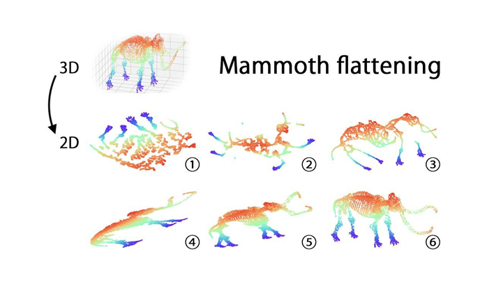    «Расплющивание мамонта». Шесть методов снижения размерности данных превращают трехмерный скан скелета мамонта в плоское представление (в двух измерениях). Видно, что использованный коллективом из Сколтеха и AIRI метод (6), RTD-AE, справляется с сохранением исходной «формы» данных лучше, чем другие популярные методы, а именно: (1) t-SNE, (2) UMAP, (3) PaCMAP, (4) Autoencoder и (5) TopoAE / ©Илья Трофимов / Сколтех