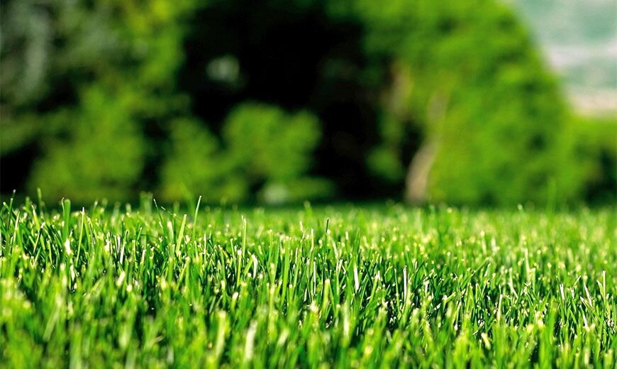 Весенние работы начинают уже в то время, когда еще лежит снег