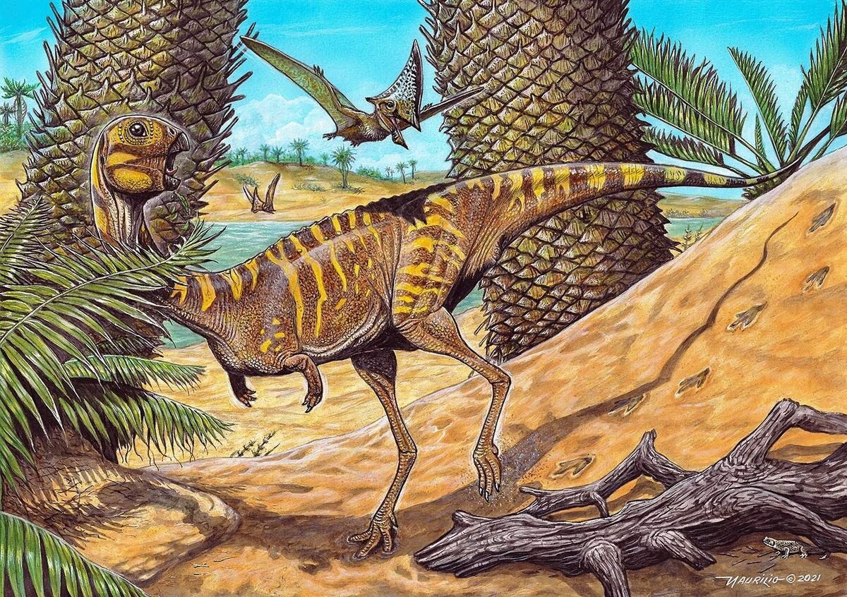 https://nat-geo.ru/science/paleontology/v-brazilii-nashli-ostanki-ochen-redkogo-bezzubogo-dinozavra/