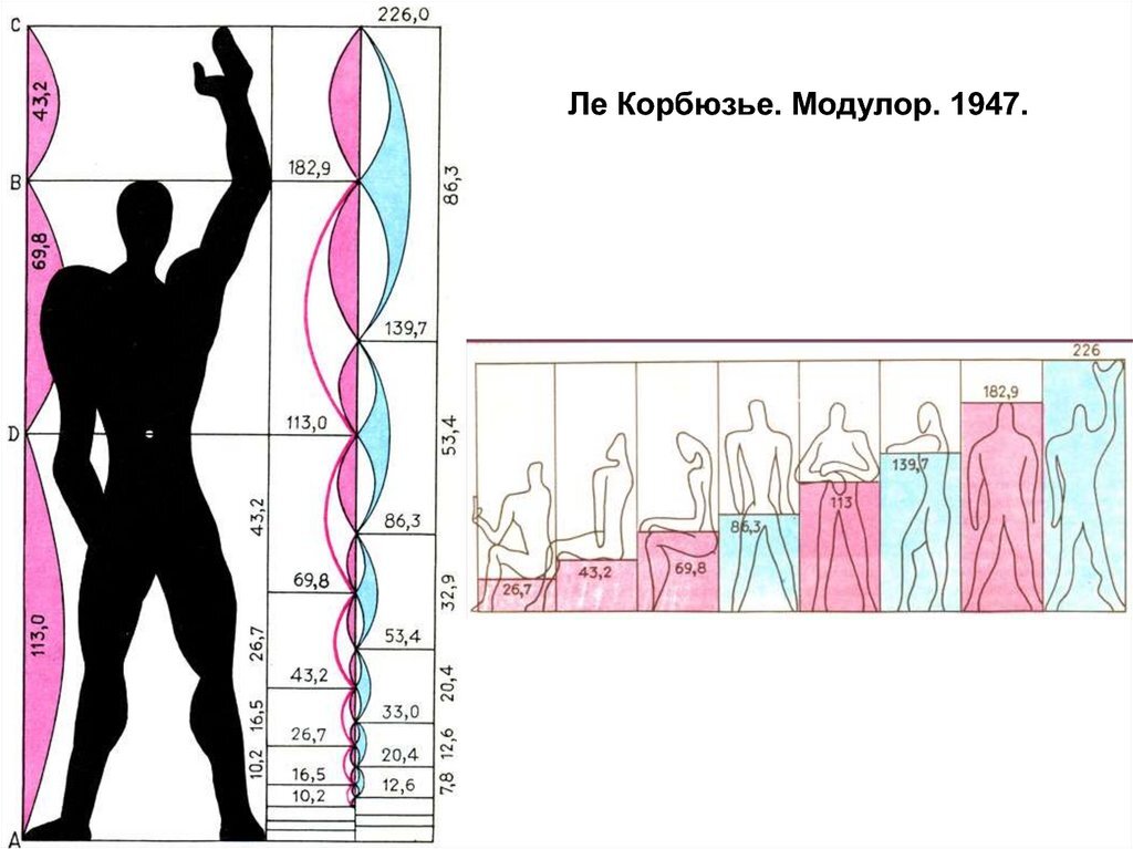 Параметры человека. Модулор Корбюзье. Ле Корбюзье Модулор антропометрические данные. Ле Корбюзье золотое сечение. Золотое сечение и Модулор Ле Корбюзье
