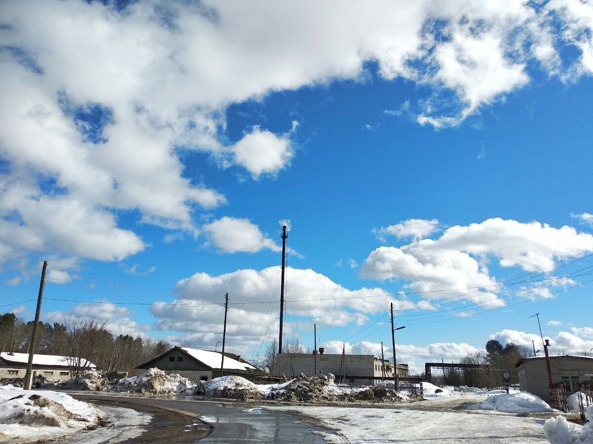 Фото автора статьи.