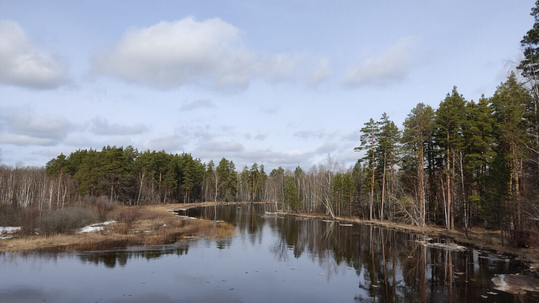    Фото Элины Антонюк, Окский заповедник