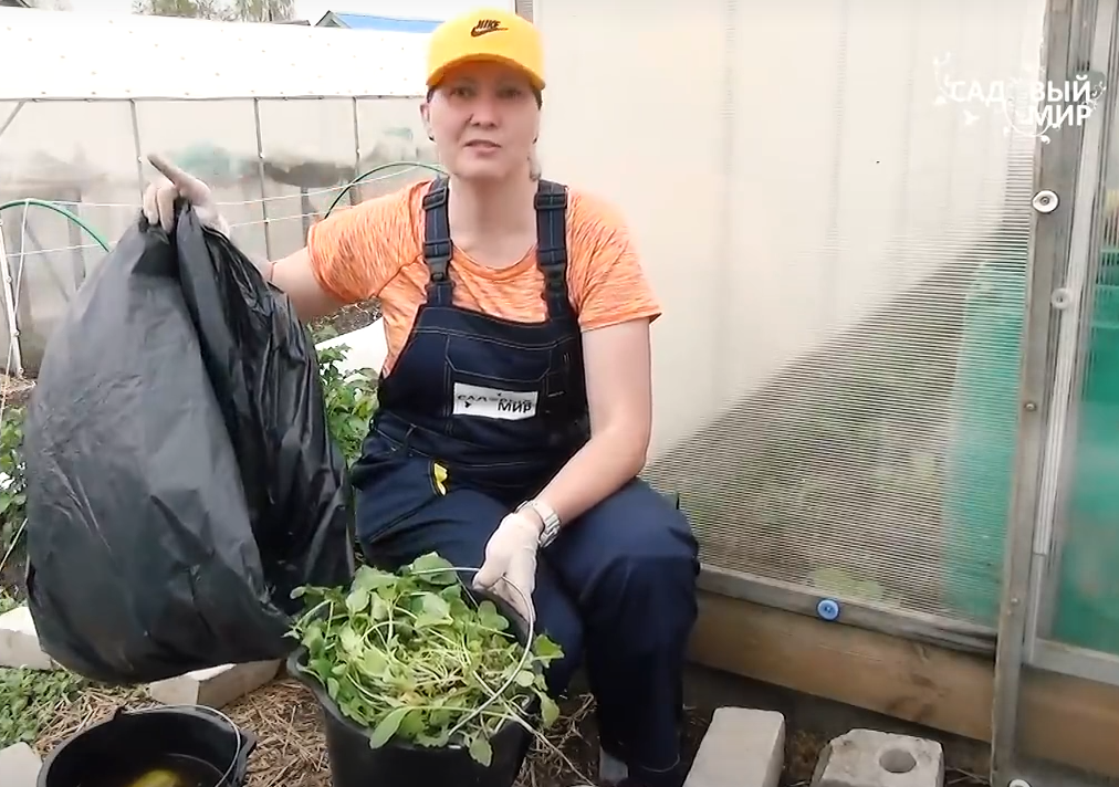 делаем горячие грядки