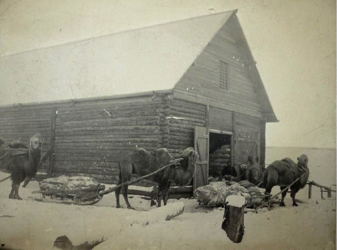 Снабжение старателей на Витиме, Сибирь. Добыча золота старателями 100 лет назад. Как добывали золото. 