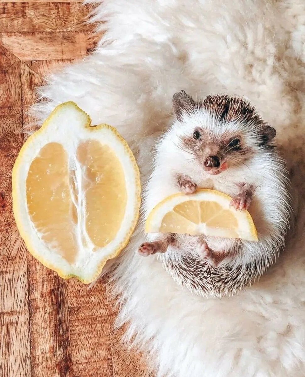 С просторов интернета 