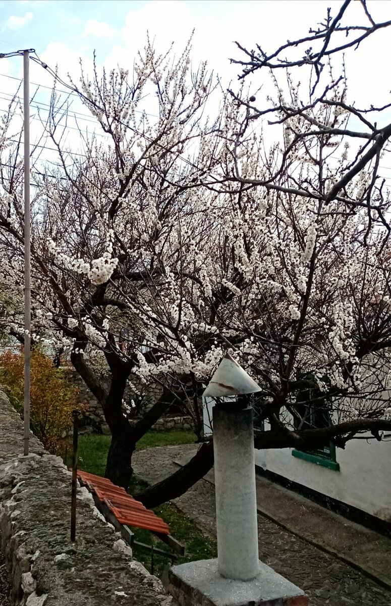 Севастополь