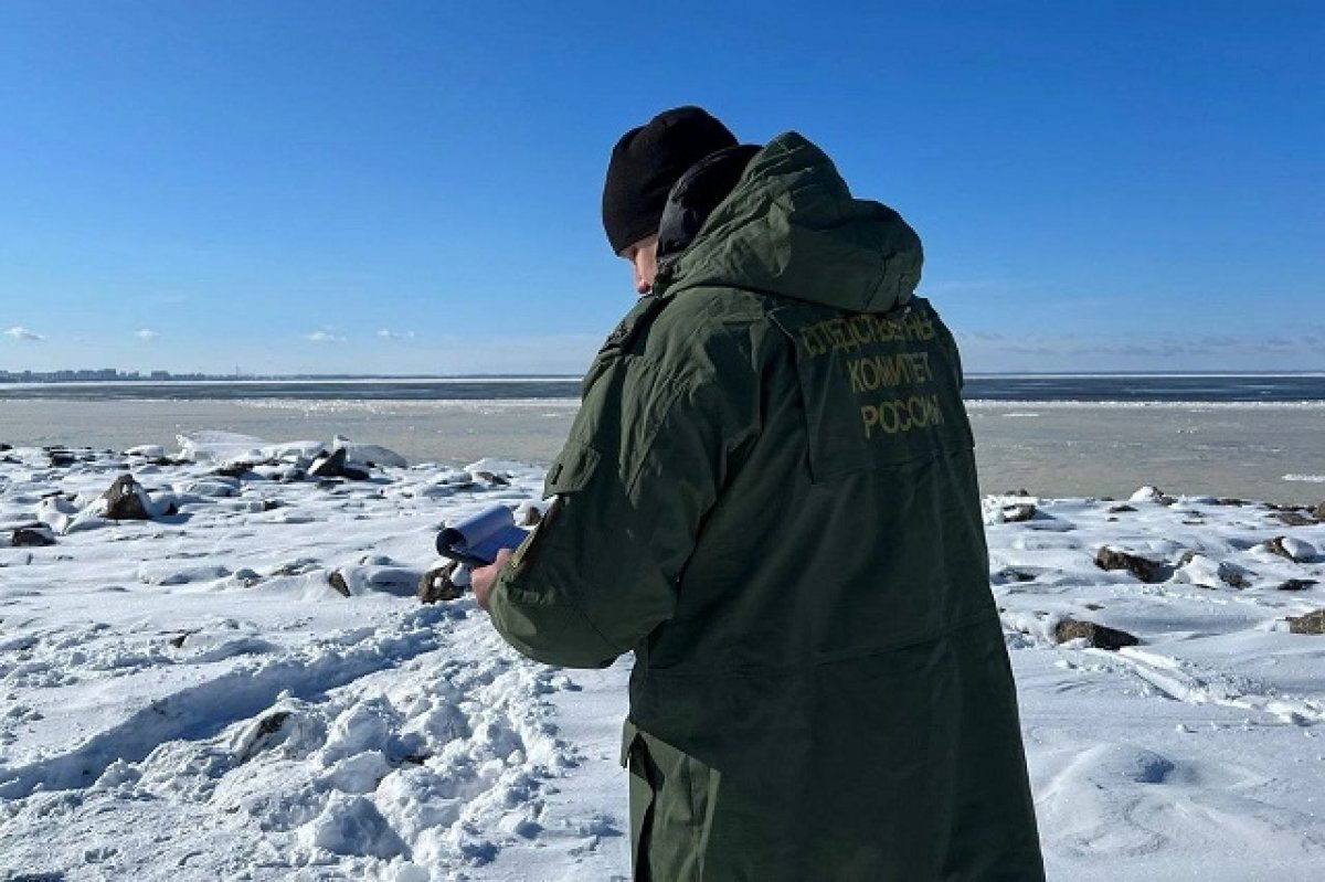    На роликах по льду? Тела пропавших школьников нашли в Финском заливе