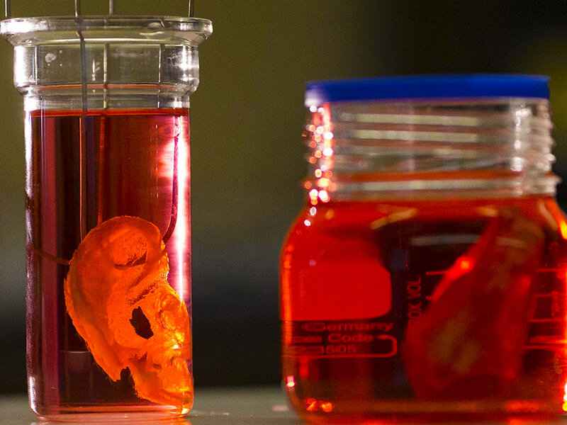 Тканевая инженерия