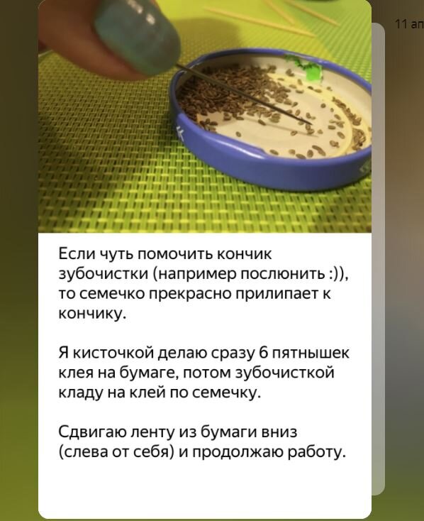 Клеем семена моркови на туалетную бумагу. Приклеить семена моркови на туалетную бумагу на какой клей.