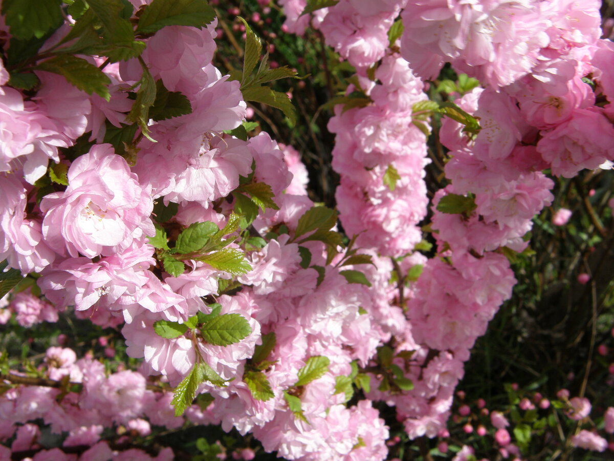 Источник flickr.com