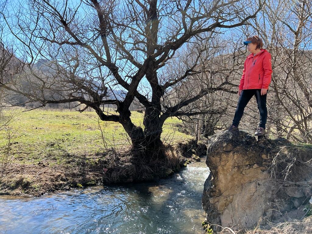 Ущелье реки Аликоновка.