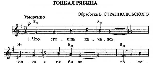 Что стоишь качаясь слушать. Тонкая рябина песня. Песня что стоишь качаясь тонкая рябина текст песни.
