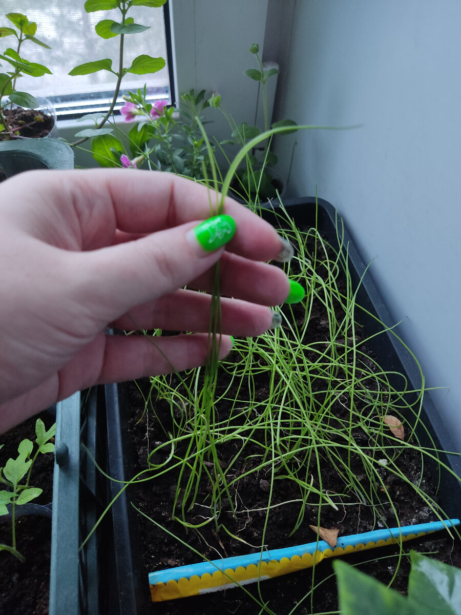 Фото из личного архива 