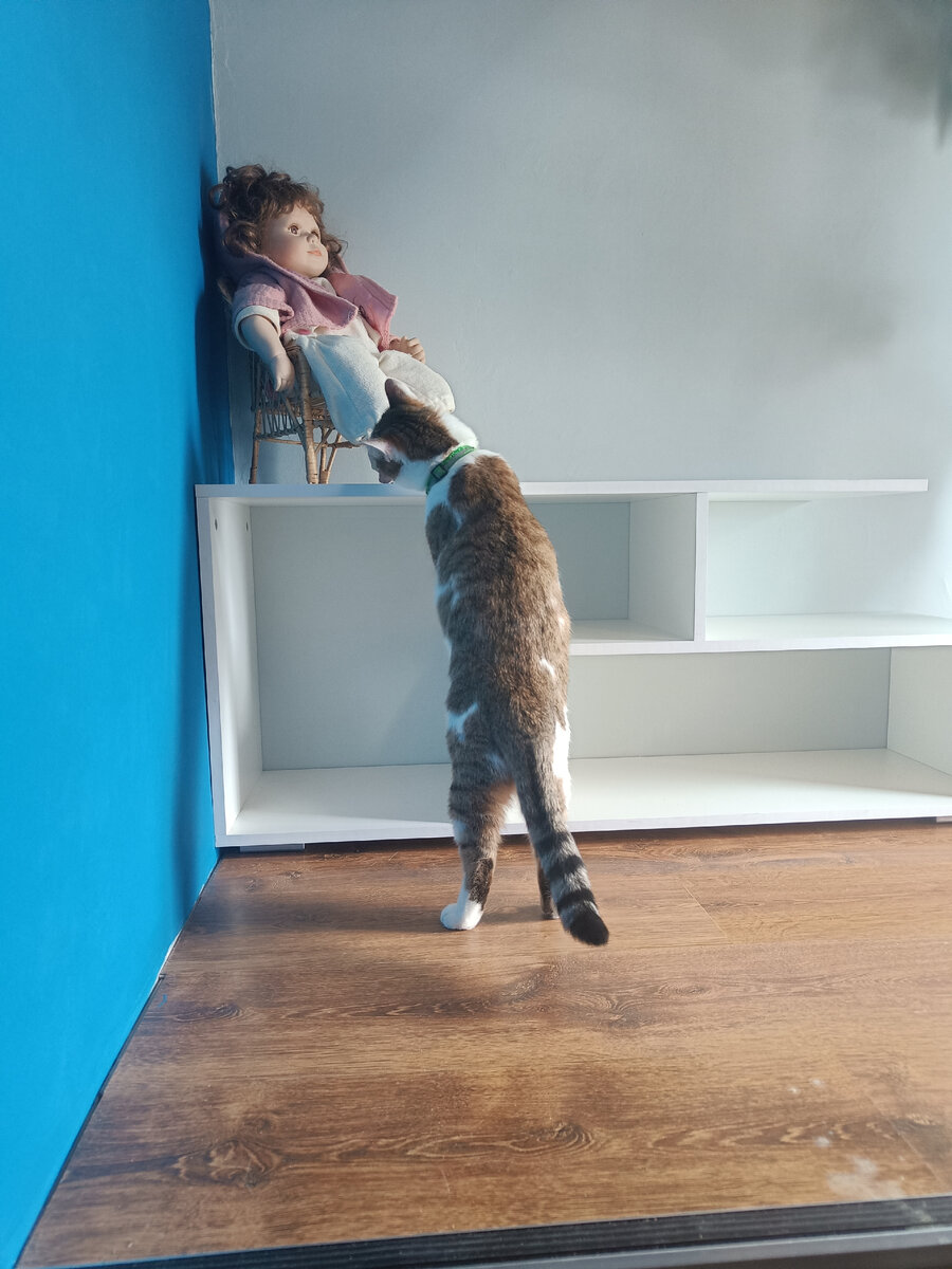 Наша Светлость 