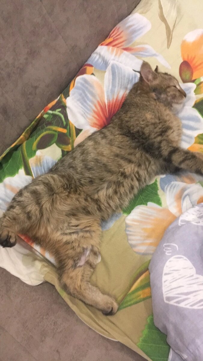 Она спит, с ней все хорошо :) 