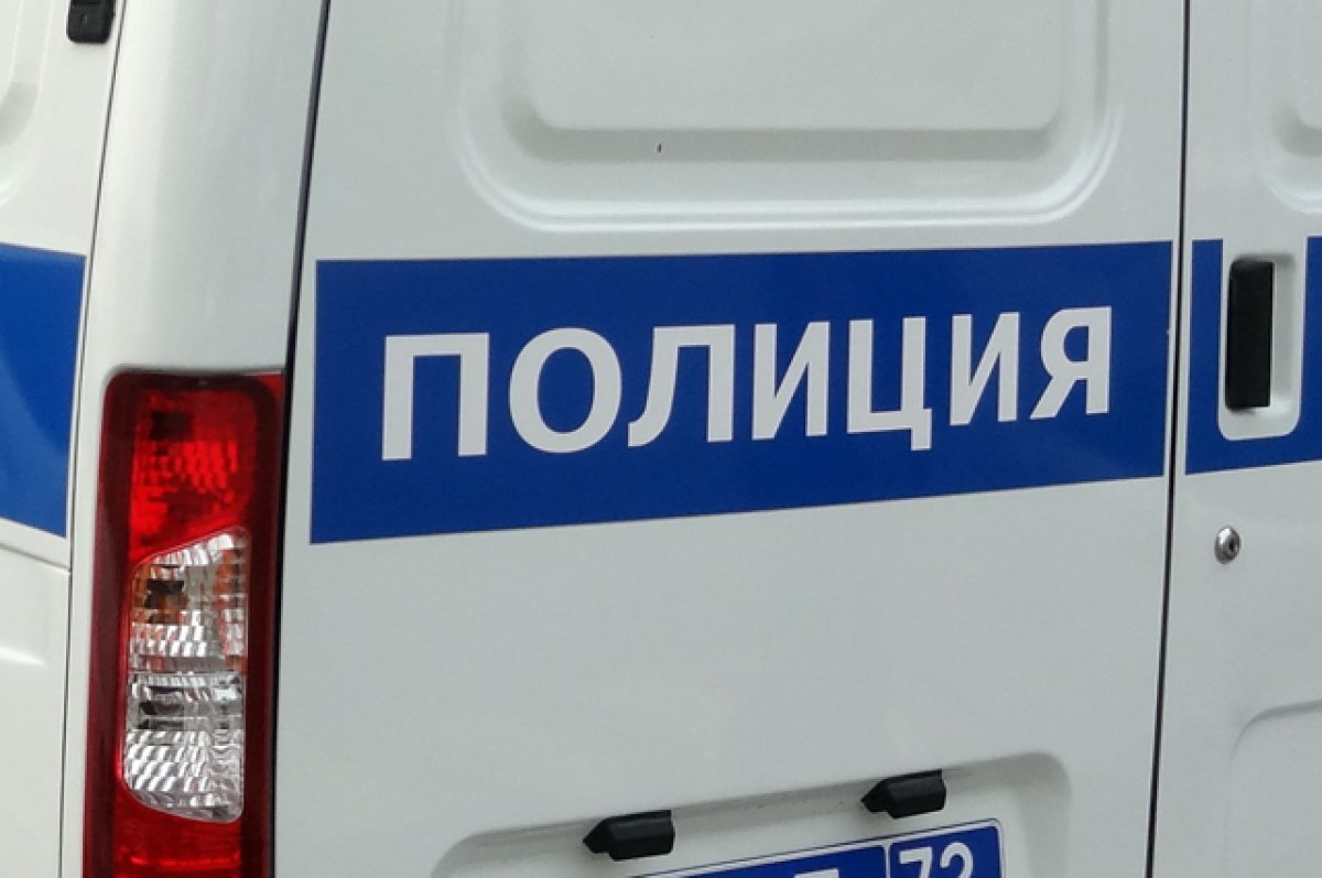    Полиция Краснодара расследует жестокое обращение с собакой