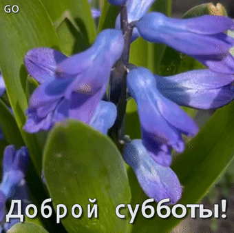 г.Вогоград, апрель 2023