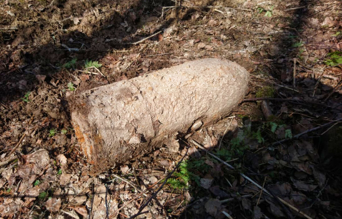   Фото: Мособлпожспас