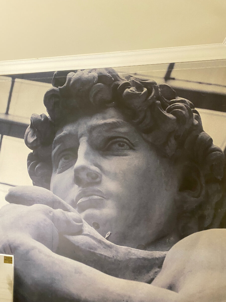 Давид- стена лестницы в Музее Московского Образования