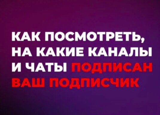 Как посмотреть на какие каналы и чаты подписан Ваш подписчик в Telegram?