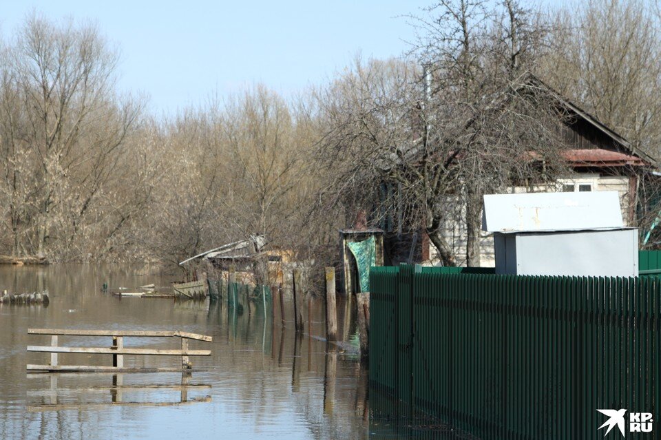    В Рязанской области по-прежнему затоплены 146 приусадебных участков.