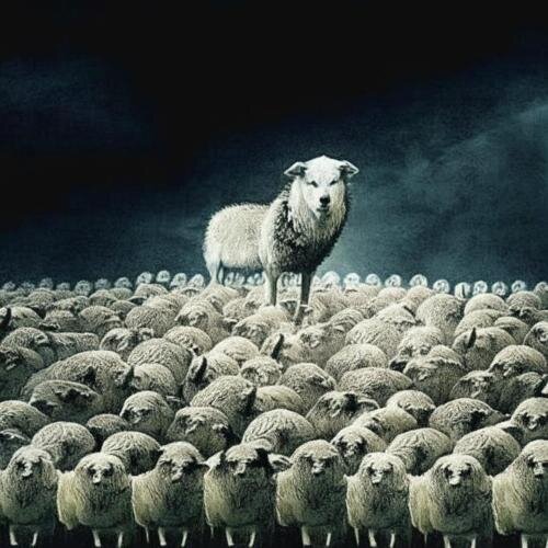 Листайте, чтобы узнать ответ →→→