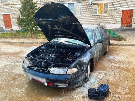     Фото: vk.com/mchs_smolensk