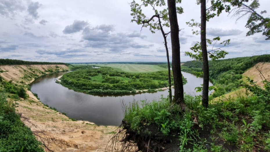 Кривоборье воронеж фото Кривоборье воронежская область отдых с палатками - Азимут Тур