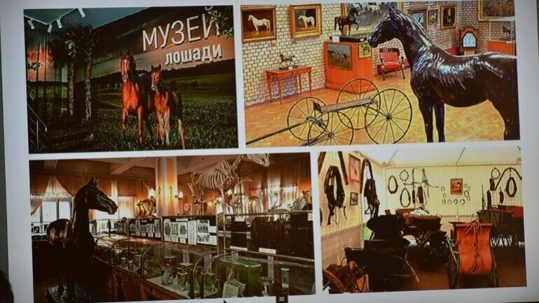     В Хакасии хотят создать музей коневодства — в Министерстве культуры уже прошло первое заседание рабочей группы.