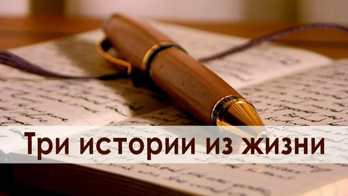 История жизни картинка