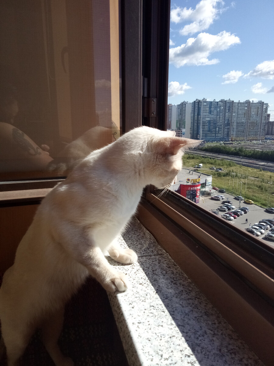 Какая дача? У меня здесь вон вид какой)