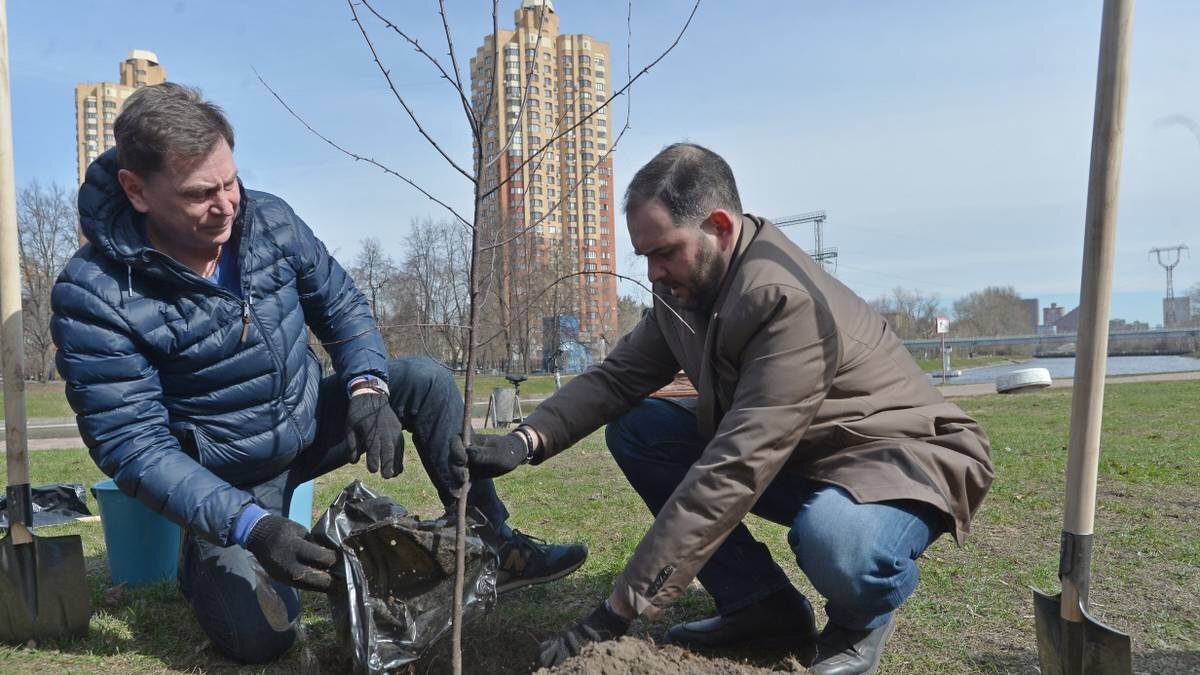 Прогулка по благоустроенной набережной станет приятнее | Вечерняя Москва |  Дзен