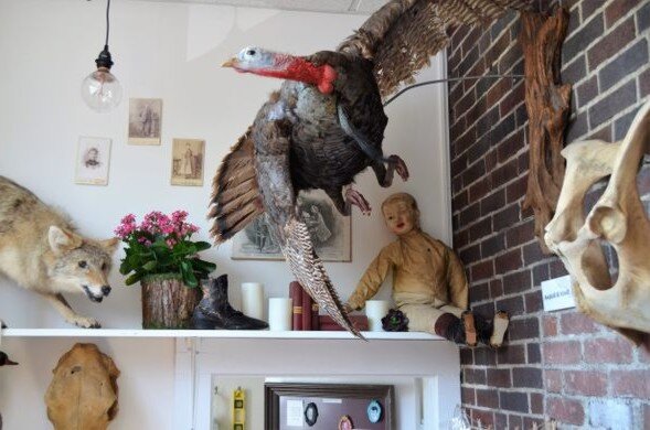 Кукла теперь выставлена на полке в магазине