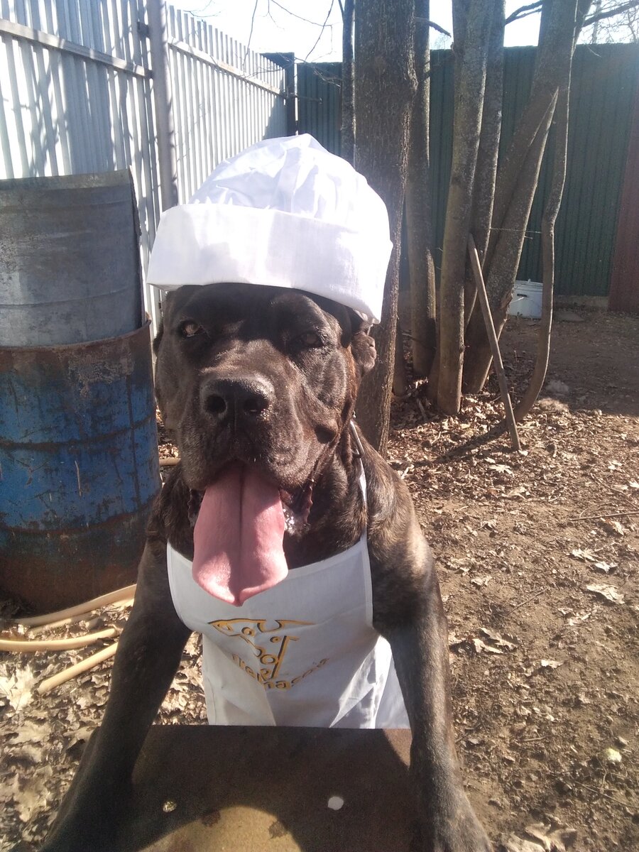 Фото автора. 